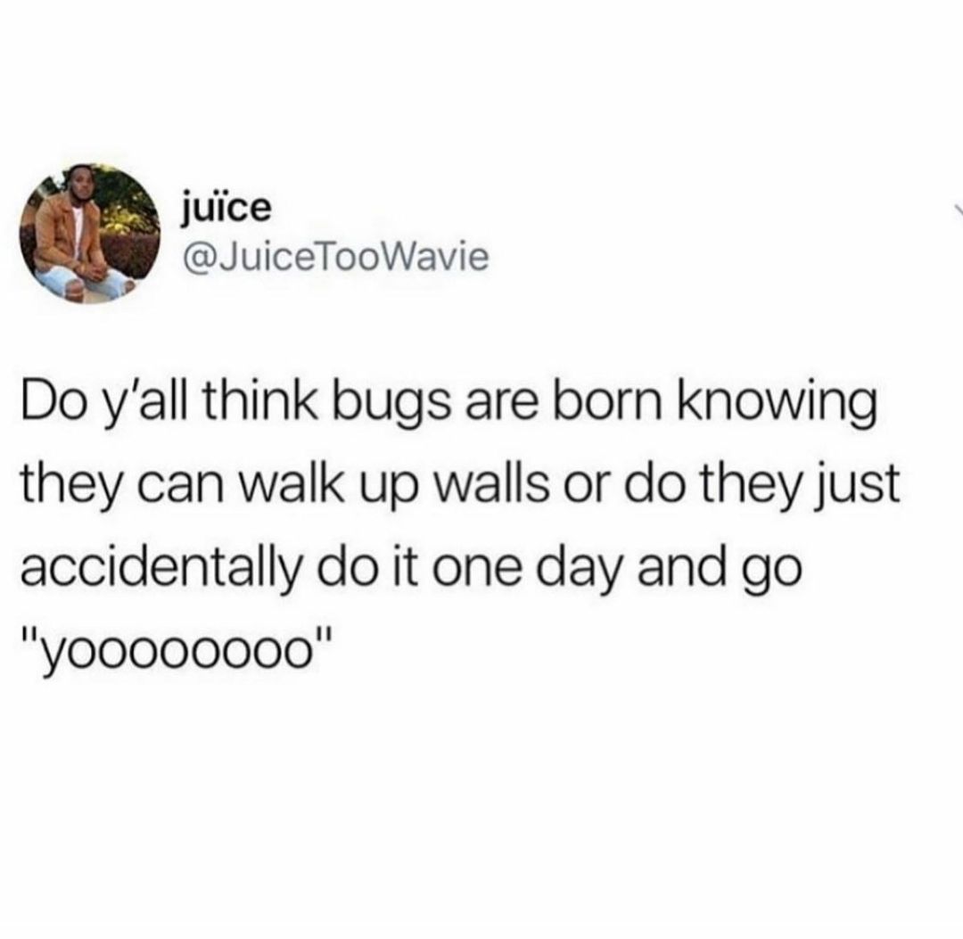 Moonshot - I Need Help Grant